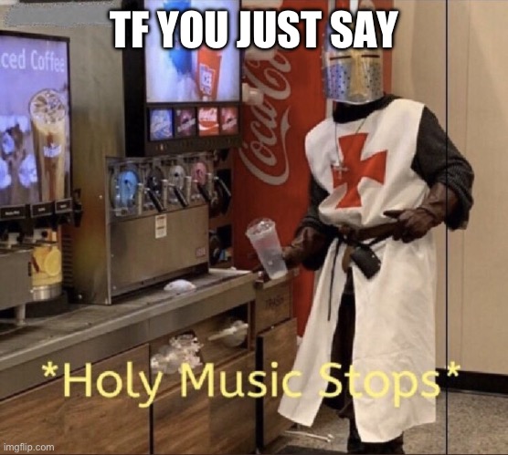 Holy music stops | TF YOU JUST SAY | image tagged in holy music stops | made w/ Imgflip meme maker
