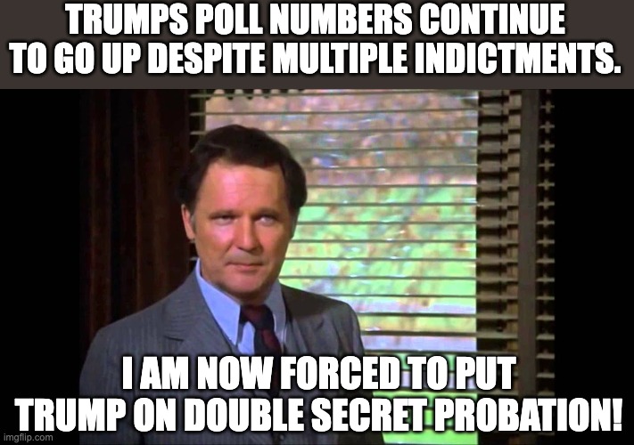 Leftists when they see Trump's poll numbers rise | TRUMPS POLL NUMBERS CONTINUE TO GO UP DESPITE MULTIPLE INDICTMENTS. I AM NOW FORCED TO PUT TRUMP ON DOUBLE SECRET PROBATION! | image tagged in donald trump | made w/ Imgflip meme maker