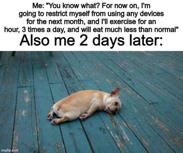 Motivation? Gone XD | Me: "You know what? For now on, I'm going to restrict myself from using any devices for the next month, and I'll exercise for an hour, 3 times a day, and will eat much less than normal"; Also me 2 days later: | image tagged in tired dog | made w/ Imgflip meme maker