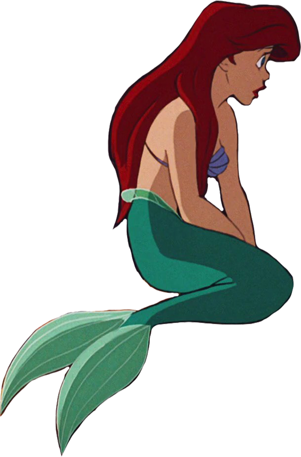 ariel siting Blank Meme Template