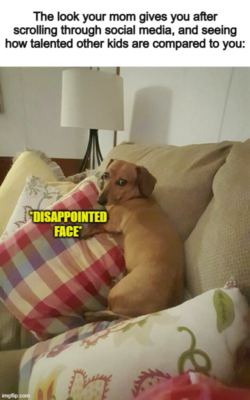 If only she knew that social media ONLY shows the best behavior of everyone on it :/ | The look your mom gives you after scrolling through social media, and seeing how talented other kids are compared to you:; *DISAPPOINTED FACE* | image tagged in disgusted dog | made w/ Imgflip meme maker