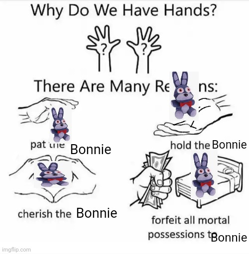 I believe in bonnie supremacy | Bonnie; Bonnie; Bonnie; Bonnie | image tagged in why do we have hands all blank,fnaf,five nights at freddys,bonnie | made w/ Imgflip meme maker
