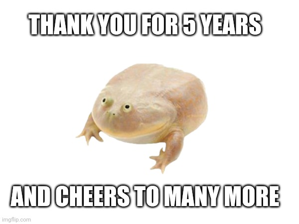 Thanks for 5 years | THANK YOU FOR 5 YEARS; AND CHEERS TO MANY MORE | image tagged in celebration,frog,happy birthday | made w/ Imgflip meme maker