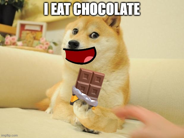 DOGE NO DONT EAT THAT | I EAT CHOCOLATE | image tagged in memes,doge 2 | made w/ Imgflip meme maker