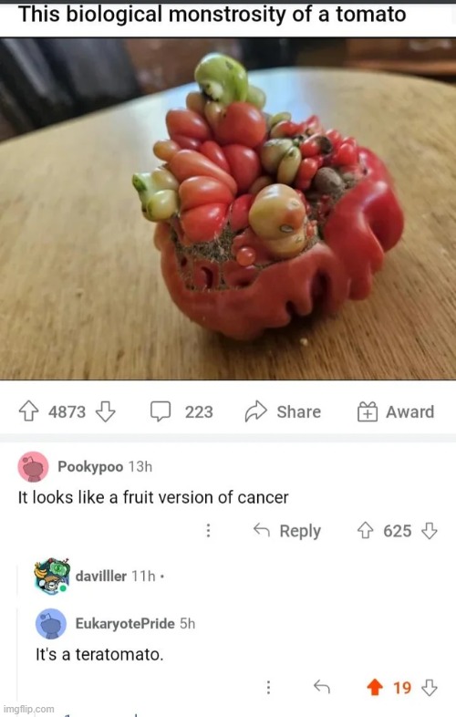 Lol :] | made w/ Imgflip meme maker