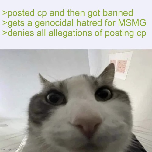 green text cat | >posted cp and then got banned
>gets a genocidal hatred for MSMG
>denies all allegations of posting cp | image tagged in green text cat | made w/ Imgflip meme maker