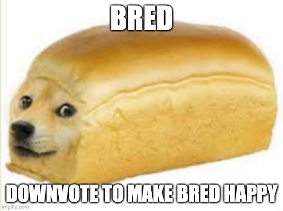 Pls downvote, no upvotes allowed | BRED; DOWNVOTE TO MAKE BRED HAPPY | image tagged in doge bread | made w/ Imgflip meme maker