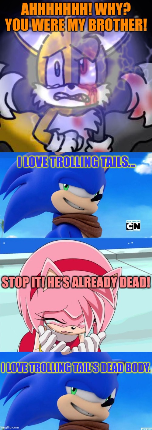 Stop it get some help. | AHHHHHHH! WHY? YOU WERE MY BROTHER! I LOVE TROLLING TAILS... STOP IT! HE'S ALREADY DEAD! I LOVE TROLLING TAIL'S DEAD BODY. | image tagged in sonic meme,amy rose,trolling,tails the fox | made w/ Imgflip meme maker