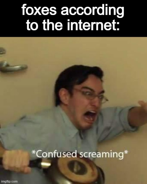 filthy frank confused scream | foxes according to the internet: | image tagged in filthy frank confused scream | made w/ Imgflip meme maker