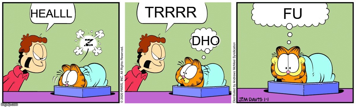 Garfield SLeeping | TRRRR; FU; HEALLL; DHO | image tagged in garfield sleeping | made w/ Imgflip meme maker