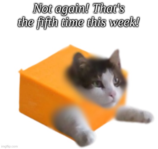 Not again! That's the fifth time this week! | made w/ Imgflip meme maker