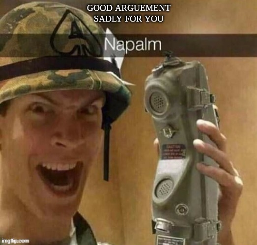 Napalm | GOOD ARGUEMENT
SADLY FOR YOU | image tagged in napalm | made w/ Imgflip meme maker