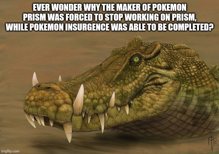I get that the maker of insurgence was anonymous, but Nintendo never did manage to prevent it's completion. | EVER WONDER WHY THE MAKER OF POKEMON PRISM WAS FORCED TO STOP WORKING ON PRISM, WHILE POKEMON INSURGENCE WAS ABLE TO BE COMPLETED? | image tagged in do ya ever wonder what if | made w/ Imgflip meme maker
