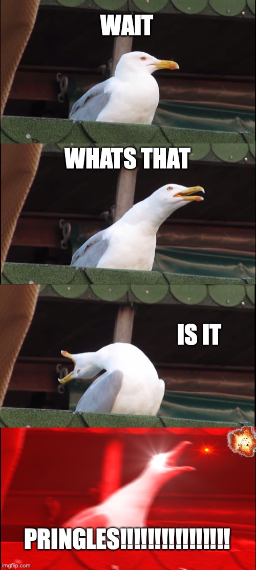 Inhaling Seagull Meme | WAIT; WHATS THAT; IS IT; PRINGLES!!!!!!!!!!!!!!!! | image tagged in memes,inhaling seagull | made w/ Imgflip meme maker