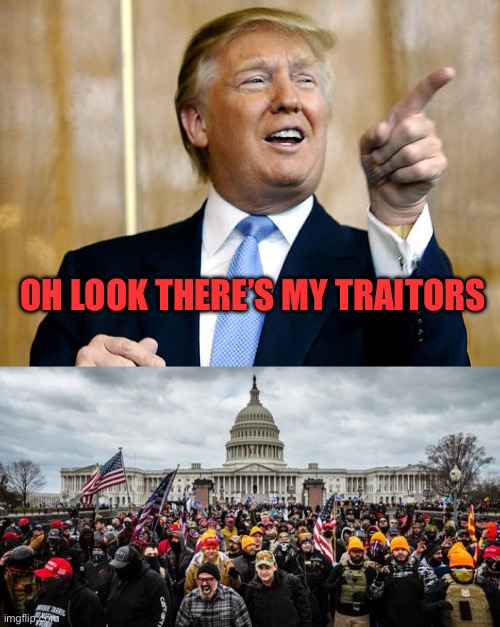 OH LOOK THERE’S MY TRAITORS | image tagged in donald trump pointing,jan 6th | made w/ Imgflip meme maker