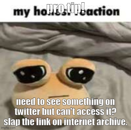 begginer tip* | pro tip! need to see something on twitter but can't access it? slap the link on internet archive. | image tagged in my honest reaction | made w/ Imgflip meme maker