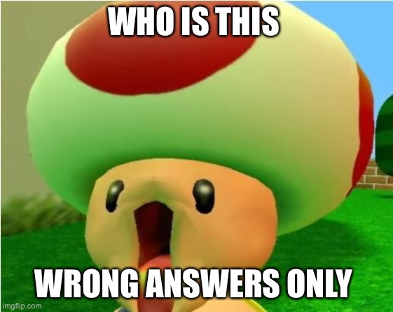 excited toad | WHO IS THIS; WRONG ANSWERS ONLY | image tagged in excited toad | made w/ Imgflip meme maker