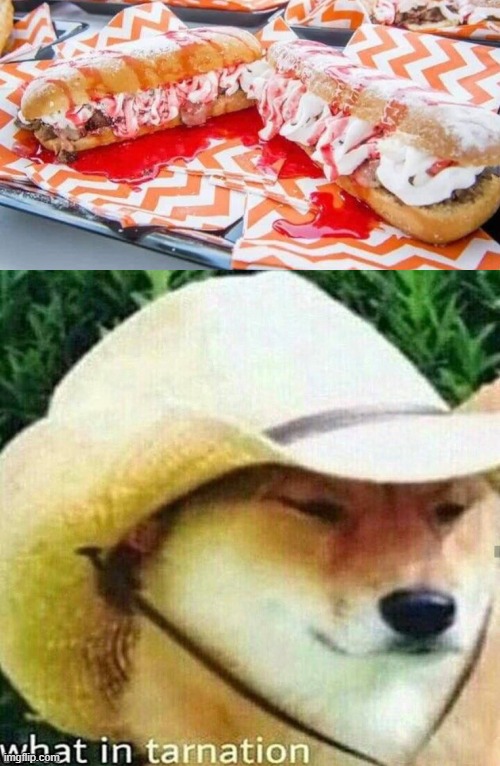 A subway with strawberry sauce... Good gracious @_@ | image tagged in what in tarnation dog | made w/ Imgflip meme maker