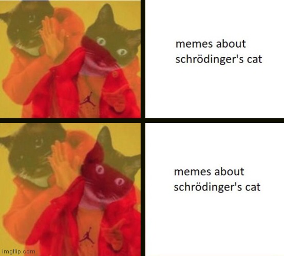 Wait a second... | image tagged in schrodinger | made w/ Imgflip meme maker