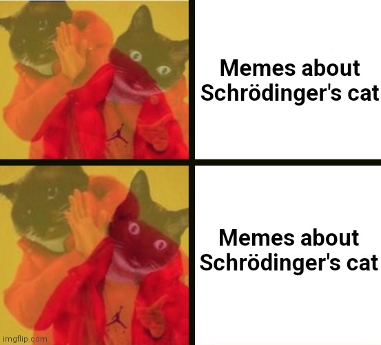 Memes about Schrödinger's cat; Memes about Schrödinger's cat | image tagged in oh wow are you actually reading these tags | made w/ Imgflip meme maker