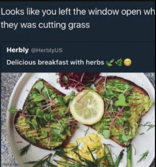 #2,647 | image tagged in memes,insult,grass,food,herbs,bread | made w/ Imgflip meme maker
