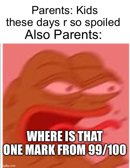 Fr | Parents: Kids these days r so spoiled; Also Parents:; WHERE IS THAT ONE MARK FROM 99/100 | image tagged in angry boi | made w/ Imgflip meme maker