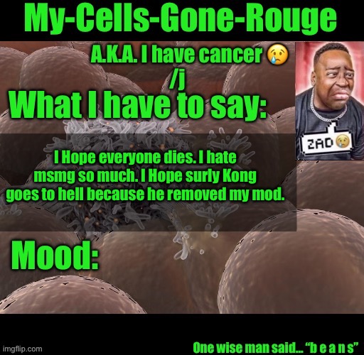 My-Cells-Gone-Rouge announcement | I Hope everyone dies. I hate msmg so much. I Hope surly Kong goes to hell because he removed my mod. | image tagged in my-cells-gone-rouge announcement | made w/ Imgflip meme maker