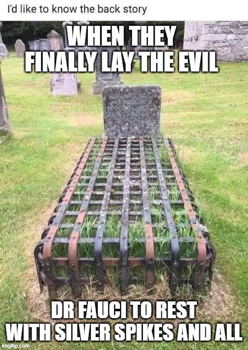 Dr Fauci | WHEN THEY FINALLY LAY THE EVIL; DR FAUCI TO REST WITH SILVER SPIKES AND ALL | image tagged in dr fauci | made w/ Imgflip meme maker