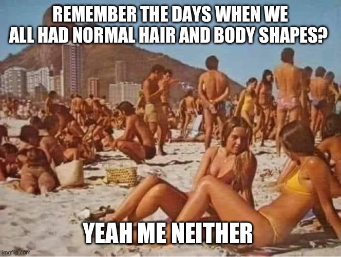 Remember Day at the Beach | REMEMBER THE DAYS WHEN WE ALL HAD NORMAL HAIR AND BODY SHAPES? YEAH ME NEITHER | image tagged in the saner days,remember back when,back in my day | made w/ Imgflip meme maker