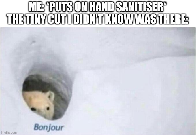 ouch | ME: *PUTS ON HAND SANITISER*
THE TINY CUT I DIDN'T KNOW WAS THERE: | image tagged in bonjour bear,hand sanitizer,memes,funny,bear,hurt | made w/ Imgflip meme maker