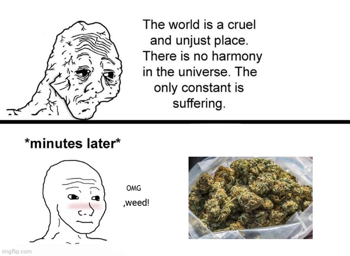 Omg, weed | ,weed! | image tagged in bluch wojak | made w/ Imgflip meme maker