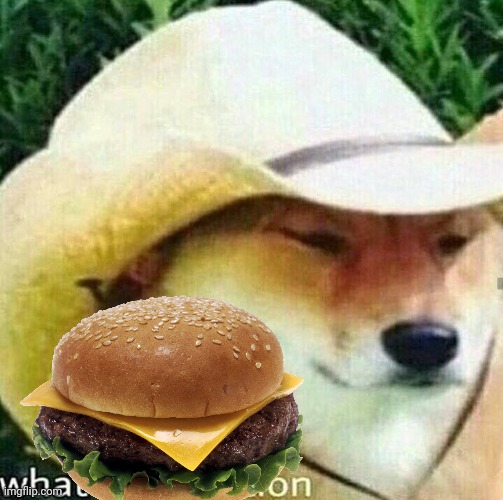 What in tarnation dog | image tagged in what in tarnation dog | made w/ Imgflip meme maker