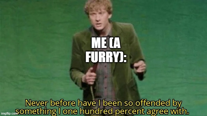 Never have i been so offended | ME (A FURRY): | image tagged in never have i been so offended | made w/ Imgflip meme maker