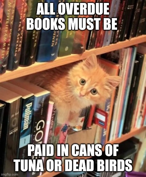 Overdue books | ALL OVERDUE BOOKS MUST BE; PAID IN CANS OF TUNA OR DEAD BIRDS | image tagged in cat librarian | made w/ Imgflip meme maker