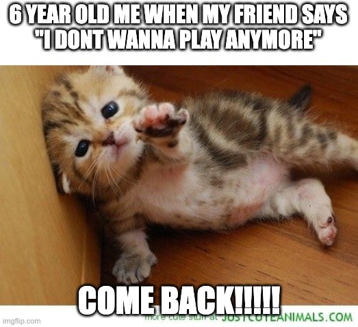 NOOOO | 6 YEAR OLD ME WHEN MY FRIEND SAYS
"I DONT WANNA PLAY ANYMORE"; COME BACK!!!!! | image tagged in weekend noooo come back come back,cats,come back | made w/ Imgflip meme maker