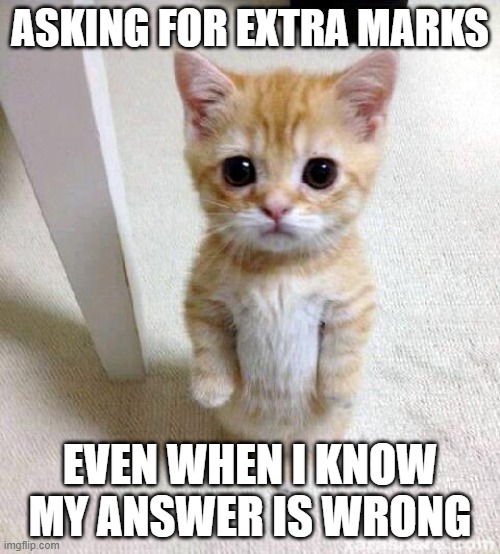 When you want to get a good grade | ASKING FOR EXTRA MARKS; EVEN WHEN I KNOW MY ANSWER IS WRONG | image tagged in memes,cute cat | made w/ Imgflip meme maker