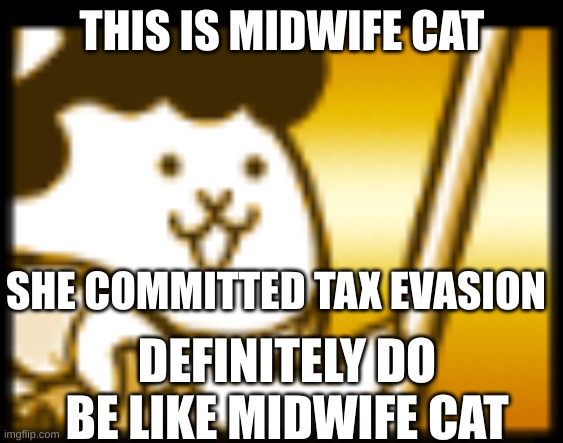 THIS IS MIDWIFE CAT; SHE COMMITTED TAX EVASION; DEFINITELY DO BE LIKE MIDWIFE CAT | made w/ Imgflip meme maker