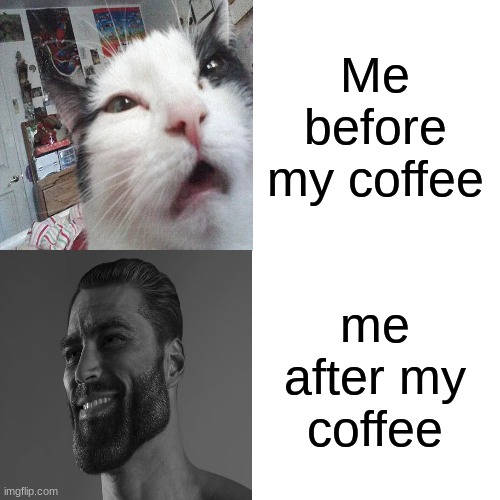 Me when I don't have my coffee | Me before my coffee; me after my coffee | image tagged in coffee,giga chad,cat | made w/ Imgflip meme maker