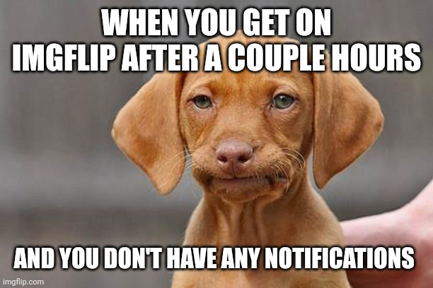 Dissapointed puppy | WHEN YOU GET ON IMGFLIP AFTER A COUPLE HOURS; AND YOU DON'T HAVE ANY NOTIFICATIONS | image tagged in dissapointed puppy | made w/ Imgflip meme maker