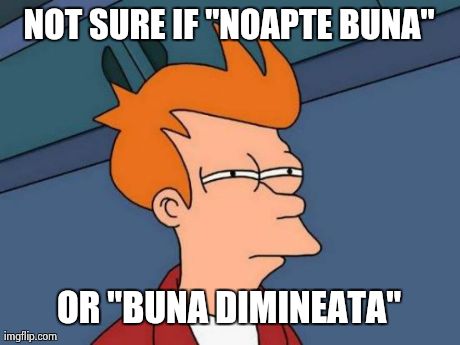 Futurama Fry Meme | NOT SURE IF "NOAPTE BUNA" OR "BUNA DIMINEATA" | image tagged in memes,futurama fry | made w/ Imgflip meme maker