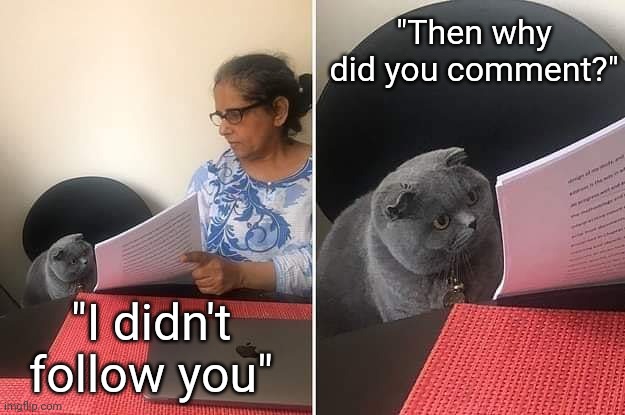 Woman showing paper to cat | "I didn't follow you" "Then why did you comment?" | image tagged in woman showing paper to cat | made w/ Imgflip meme maker