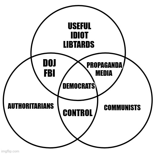 3 Circles | USEFUL IDIOT LIBTARDS; PROPAGANDA MEDIA; DOJ FBI; AUTHORITARIANS; DEMOCRATS; COMMUNISTS; CONTROL | image tagged in 3 circles | made w/ Imgflip meme maker