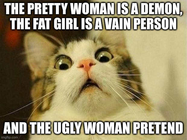 pretend | THE PRETTY WOMAN IS A DEMON, THE FAT GIRL IS A VAIN PERSON; AND THE UGLY WOMAN PRETEND | image tagged in memes,scared cat | made w/ Imgflip meme maker
