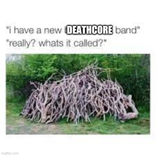 DEATHCORE | made w/ Imgflip meme maker