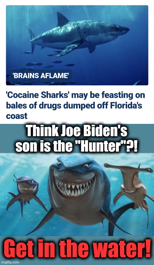 A whole world chock full of dangerous drugs, and nobody cares | Think Joe Biden's
son is the "Hunter"?! Get in the water! | image tagged in finding nemo sharks,cocaine,hunter biden,joe biden | made w/ Imgflip meme maker