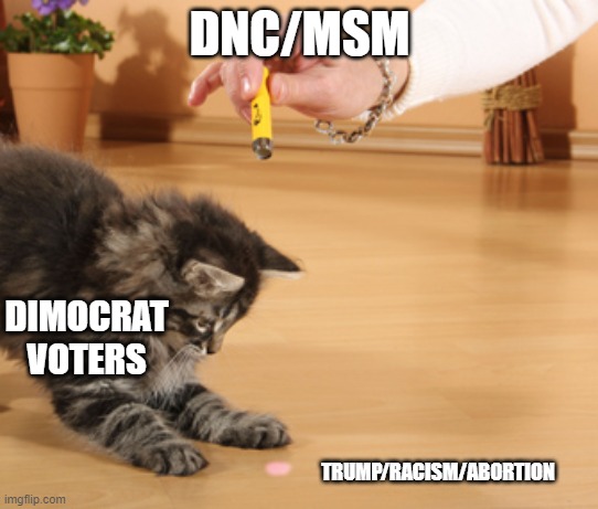 cat laser pointer | DNC/MSM; DIMOCRAT VOTERS; TRUMP/RACISM/ABORTION | image tagged in cat laser pointer | made w/ Imgflip meme maker