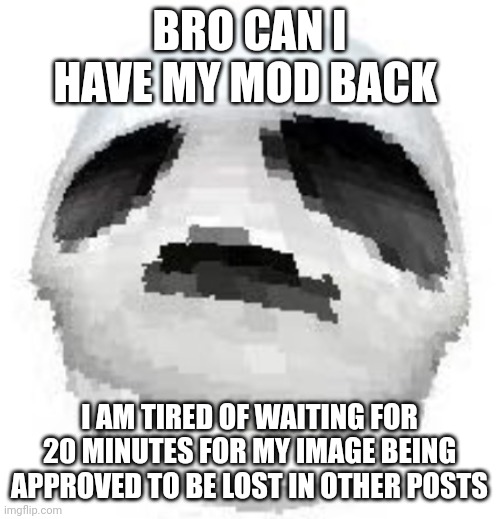 . | BRO CAN I HAVE MY MOD BACK; I AM TIRED OF WAITING FOR 20 MINUTES FOR MY IMAGE BEING APPROVED TO BE LOST IN OTHER POSTS | image tagged in skoll | made w/ Imgflip meme maker