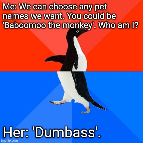 Pet names | Me: We can choose any pet names we want. You could be 'Baboomoo the monkey'. Who am I? Her: 'Dumbass'. | image tagged in memes,socially awesome awkward penguin,relationships,men,women | made w/ Imgflip meme maker