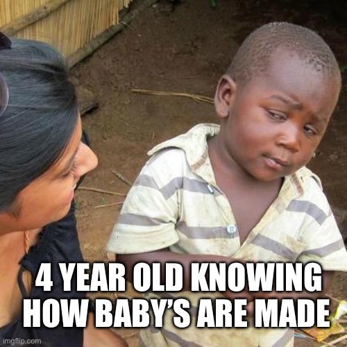 ???? | 4 YEAR OLD KNOWING HOW BABY’S ARE MADE | image tagged in memes,third world skeptical kid | made w/ Imgflip meme maker