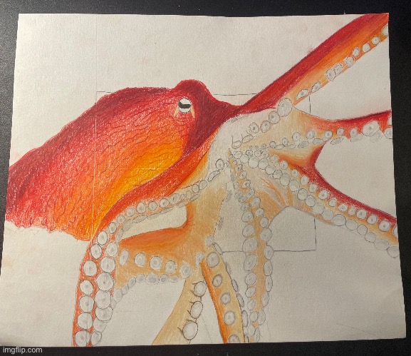 Here’s an octopus drawing I made a short while ago :) | image tagged in octopus,drawing,art | made w/ Imgflip meme maker